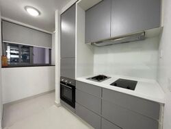 Ascentia Sky (D3), Condominium #484537701